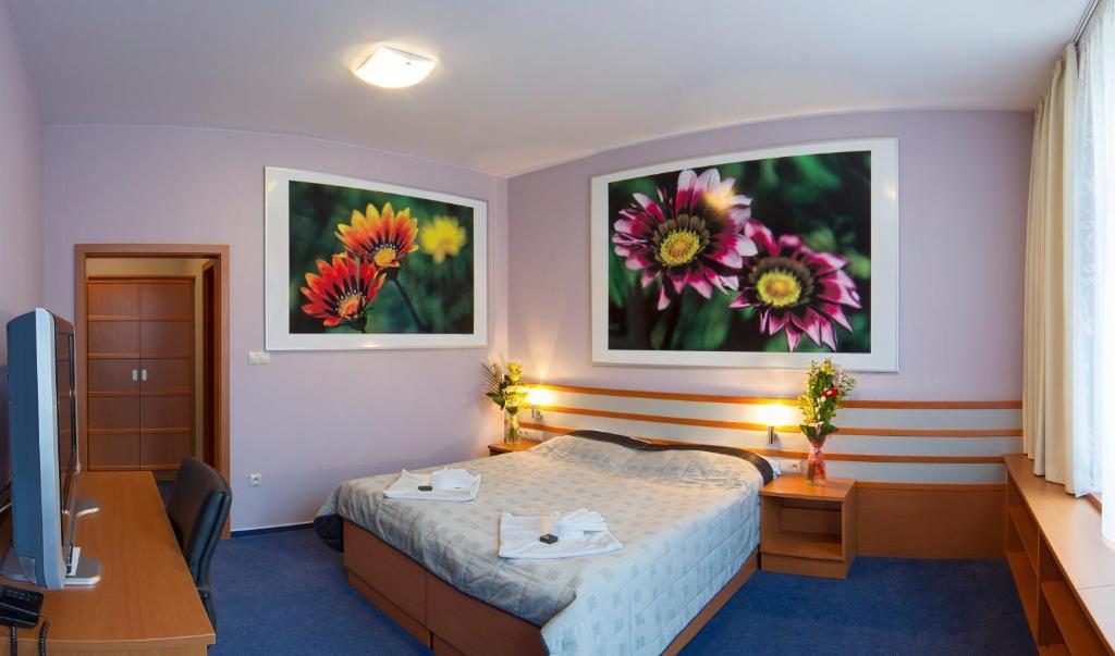 Hotel Air Holíč Rum bild
